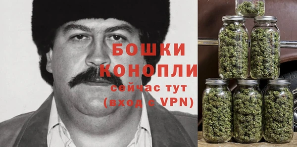 соль ск Дмитров