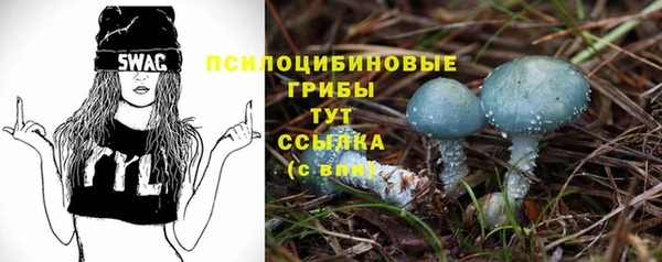 соль ск Дмитров